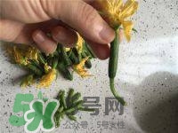 黃瓜花能吃嗎？黃瓜花怎么吃