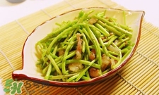 蘆蒿與茼蒿有什么區(qū)別？蘆蒿和茼蒿的區(qū)別