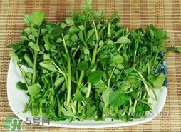 哺乳期能吃西洋菜嗎？哺乳期可以吃西洋菜嗎