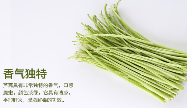 蘆蒿是發(fā)物嗎？蘆蒿是不是發(fā)物