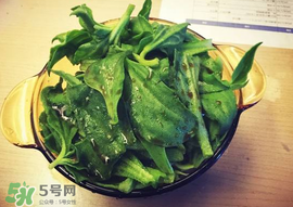 吃冰菜有什么好處？冰菜吃了有什么好處？