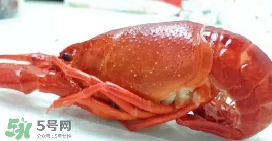 蝦子哪些部位不能吃？蝦子哪些地方不能吃