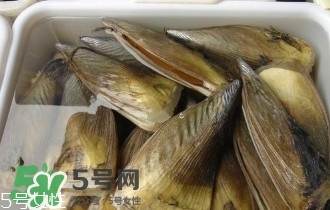 青口貝如何清洗？青口貝怎么處理