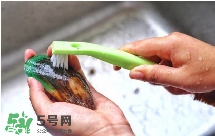 青口貝如何清洗？青口貝怎么處理