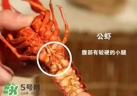 蝦子怎么吃？蝦子的吃法