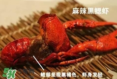 蝦子怎么吃？蝦子的吃法