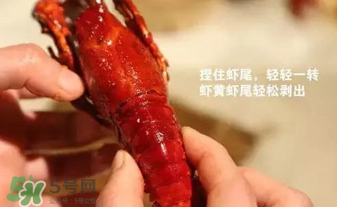 蝦子哪些部位不能吃？蝦子哪些地方不能吃