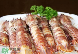 蝦爬子是寒性的嗎？蝦爬子是熱性的還是寒性的？