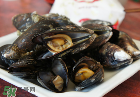 淡菜什么時候最肥？淡菜什么時候吃最好？
