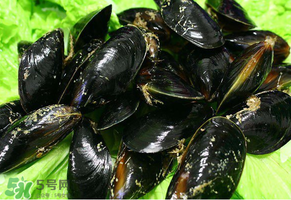 哪些人不適合吃淡菜？淡菜什么人不能吃？