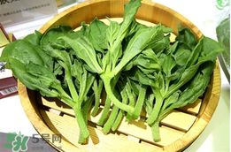 冰菜孕婦能吃嗎？孕婦能不能吃冰菜？