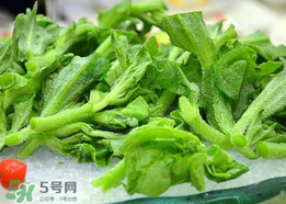 冰菜孕婦能吃嗎？孕婦能不能吃冰菜？