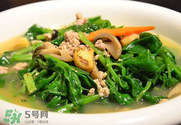 冰菜孕婦能吃嗎？孕婦能不能吃冰菜？