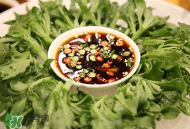 冰菜怎么涼拌？冰菜可以用沙拉醬拌嗎？