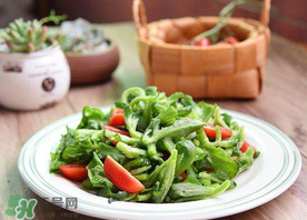 冰菜怎么涼拌？冰菜可以用沙拉醬拌嗎？