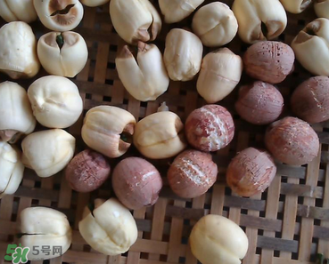芡實不能和什么一起吃？芡實不能與什么同食？