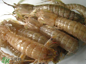 瀨尿蝦是皮皮蝦嗎？瀨尿蝦和皮皮蝦的區(qū)別
