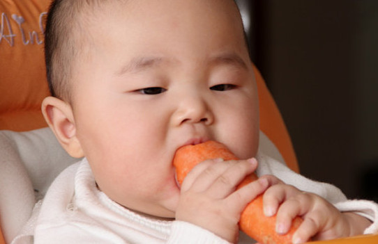 胡蘿卜與什么不能同食？胡蘿卜不能和什么一起吃