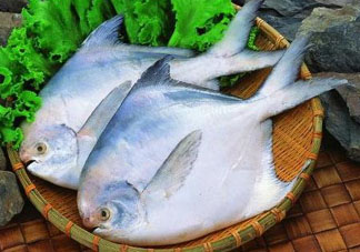 蠶豆和魚能一起吃嗎？蠶豆和魚吃相克嗎？