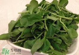 雞毛菜怎么做？雞毛菜的做法