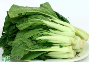 雞毛菜怎么做？雞毛菜的做法