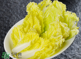 蠶豆和白菜能一起吃嗎？白菜和蠶豆能在一起吃嗎？