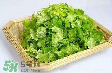芹菜葉能吃嗎？芹菜葉可以吃嗎