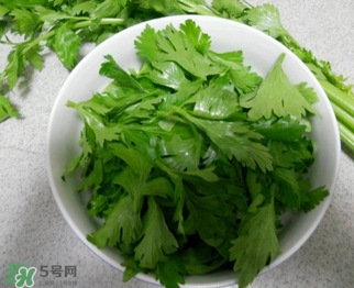 芹菜葉怎么吃？芹菜葉吃法