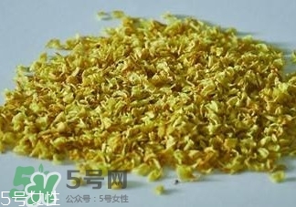 白枇杷花茶多少錢一斤？白枇杷花茶價格