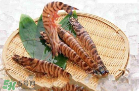 蝦爬子怎么扒皮？蝦爬子怎么剝殼？