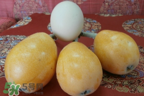枇杷是什么季節(jié)的水果？枇杷什么季節(jié)吃