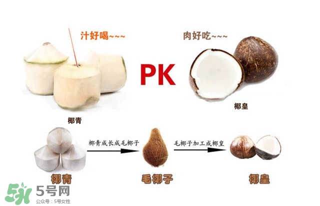 椰子怎么打開？椰子殼怎樣打開