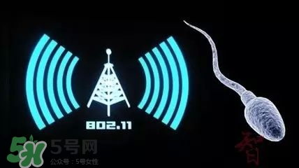 wifi殺精嗎？wifi殺精是真的嗎？