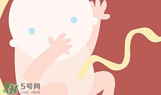 胎兒發(fā)育關(guān)鍵時(shí)期是什么時(shí)候？胎兒發(fā)育黃金期