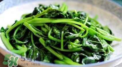 苕尖是發(fā)物嗎？苕尖是不是發(fā)物