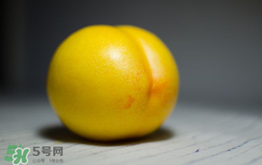 黃金油桃多少錢一斤？黃金油桃什么時候成熟？