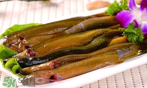 怎么處理泥鰍？泥鰍怎么處理干凈