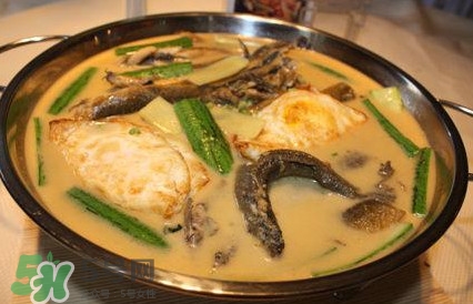 泥鰍是魚嗎？泥鰍是海鮮嗎
