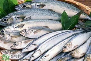 2017鲅魚多少錢一斤？鲅魚多少錢一斤2017？