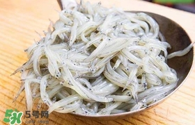 銀魚是面條魚嗎？面條魚和銀魚的區(qū)別
