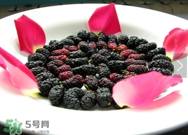 覆盆子是桑葚嗎？覆盆子和桑葚的區(qū)別