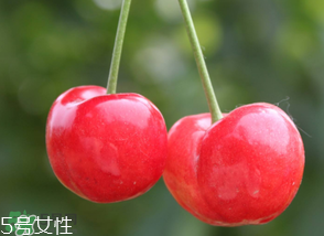 櫻桃籽有毒嗎？櫻桃籽能吃嗎？