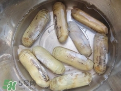 怎么樣讓蟶子吐沙？如何讓蟶子吐沙