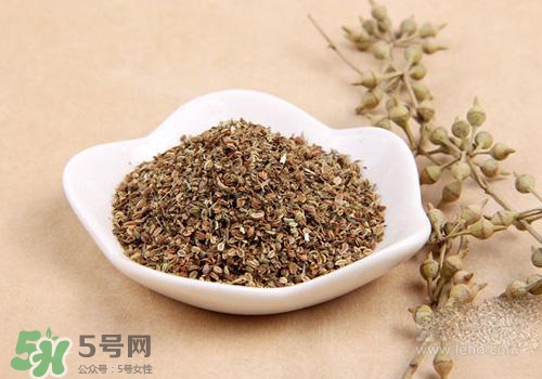 吃中藥可以吃魚(yú)？吃中藥吃魚(yú)會(huì)怎么樣？