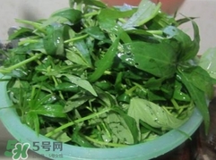 番薯葉怎么種？怎樣種番薯葉