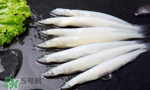 面條魚有刺嗎？面條魚有鱗嗎