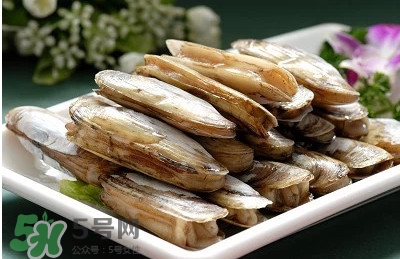 蟶子是海鮮嗎？蟶子是海鮮還是河鮮