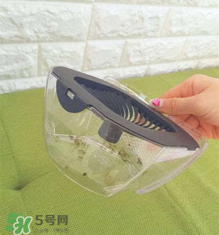 inadays滅蚊燈有用嗎？inadays滅蚊燈有效果嗎？