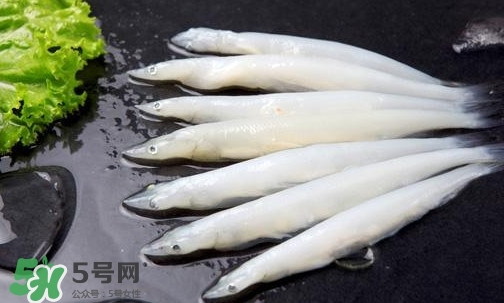 銀魚是面條魚嗎？面條魚和銀魚的區(qū)別