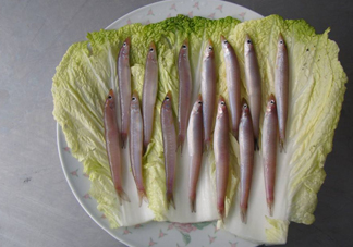 青島面條魚是什么魚？青島面條魚叫什么